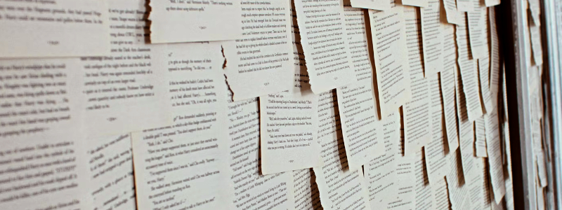 Pages of text pinned to a wall