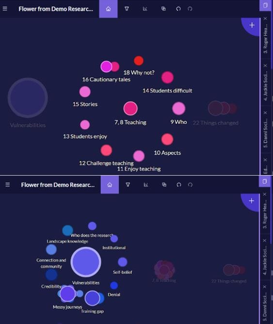 The Teaching and Vulnerabilities quirks visualised as themes in a pink and a blue flower. The petals are sub-codes.